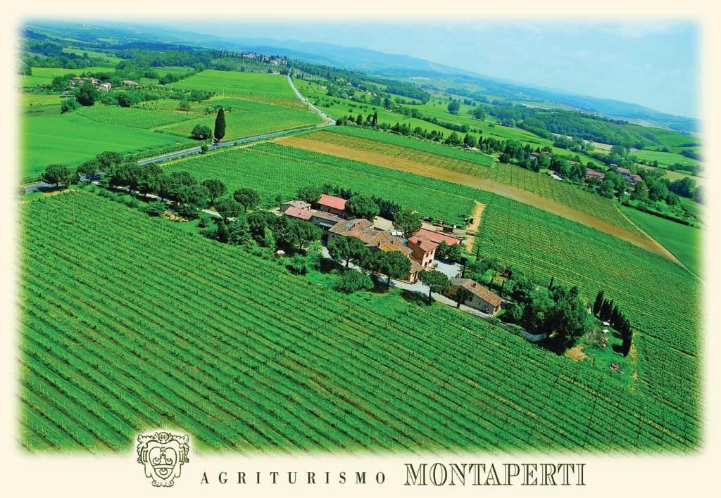 Agriturismo Montaperti Villa Castelnuovo Berardenga Esterno foto