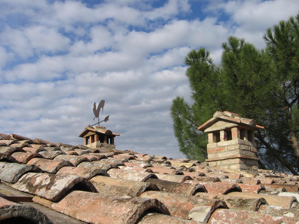 Agriturismo Montaperti Villa Castelnuovo Berardenga Camera foto