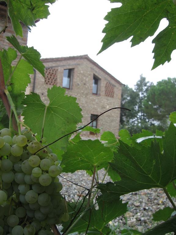 Agriturismo Montaperti Villa Castelnuovo Berardenga Esterno foto