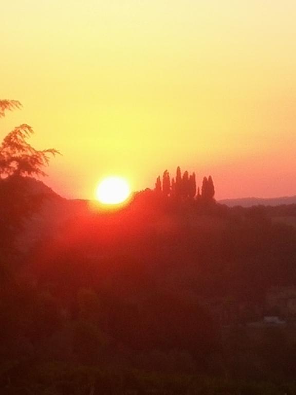 Agriturismo Montaperti Villa Castelnuovo Berardenga Esterno foto