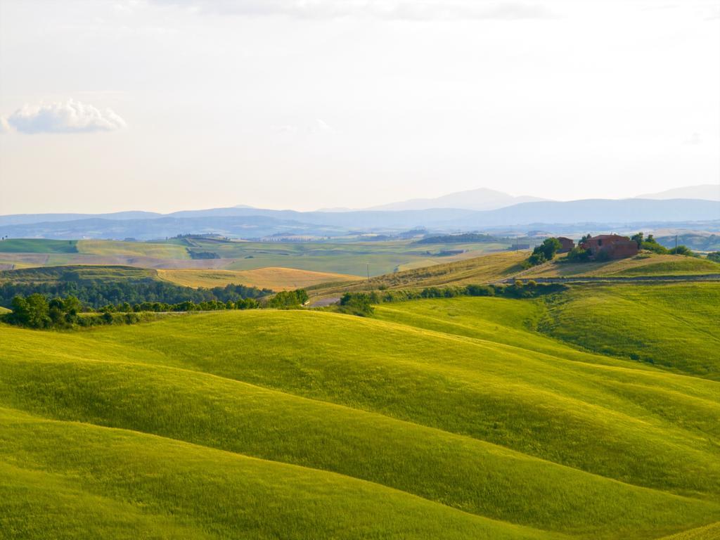 Agriturismo Montaperti Villa Castelnuovo Berardenga Esterno foto