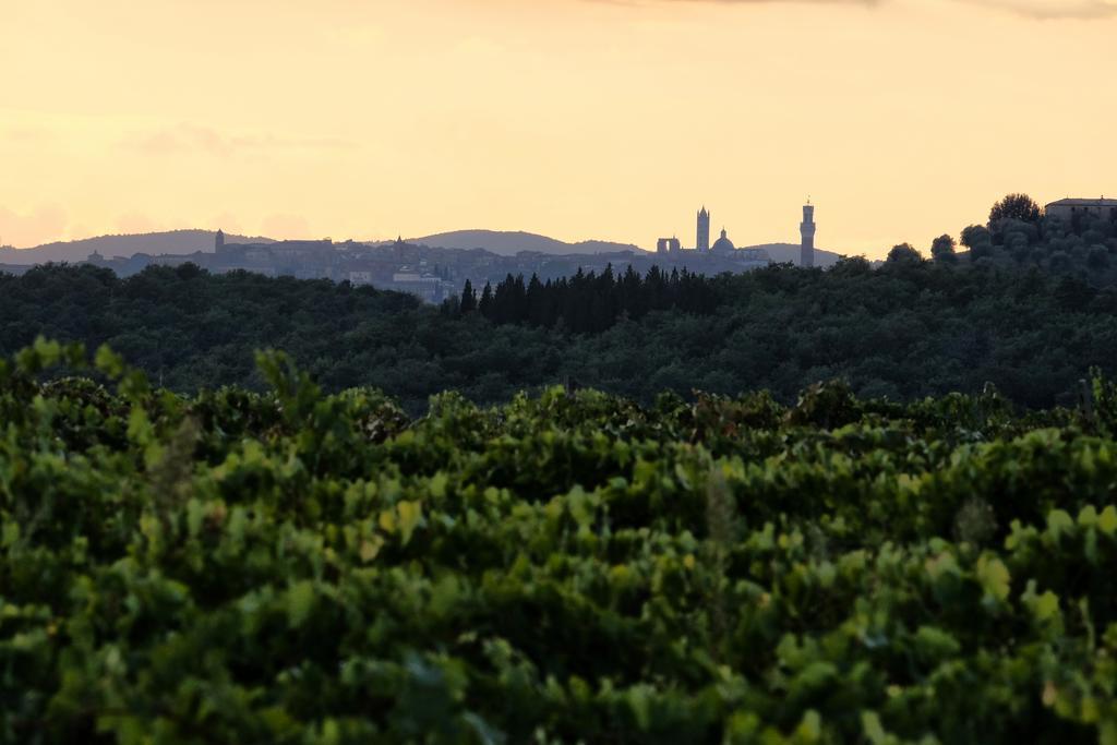 Agriturismo Montaperti Villa Castelnuovo Berardenga Esterno foto