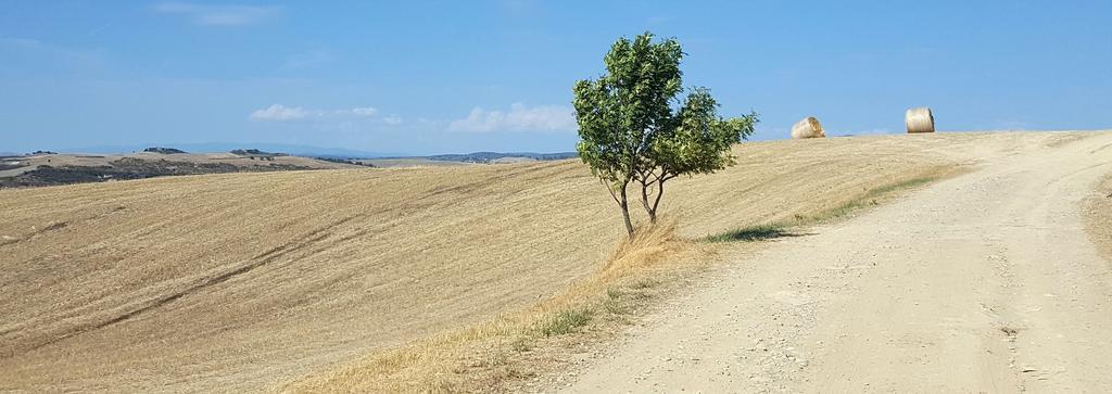 Agriturismo Montaperti Villa Castelnuovo Berardenga Esterno foto